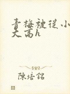 青梅被从小玩到大高h