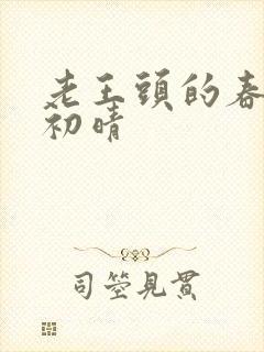 老王头的春天林初晴