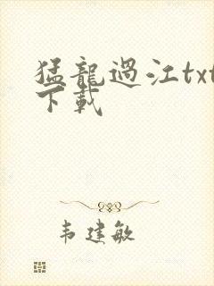 猛龙过江txt下载