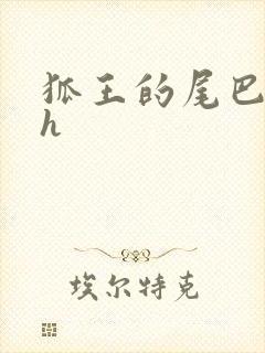 狐王的尾巴高ah