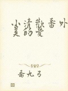 小清欢番外篇完美的爱