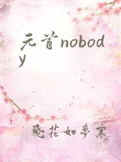 元首nobody