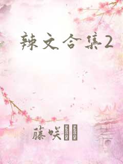 辣文合集2