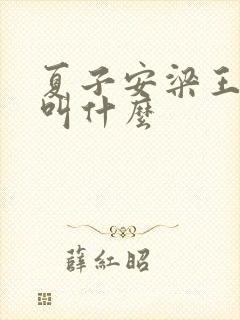 夏子安梁王书名叫什么