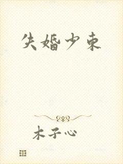 失婚少东