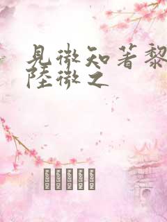 见微知著黎见卿陆微之