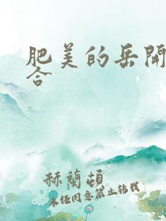 肥美的岳开始配合