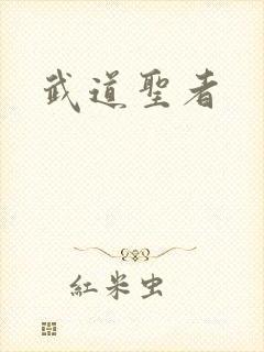 武道圣者