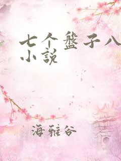 七个盘子八个碗小说