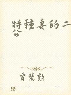 特种妻的二手老公