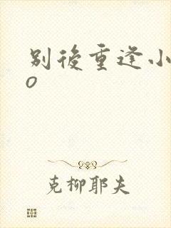 别后重逢小说po