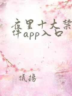 夜里十大禁用软件app入口