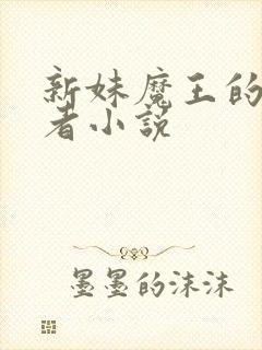 新妹魔王的契约者小说