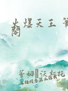 火爆天王 笔趣阁