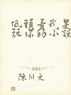 低头看我是怎么玩你的小说