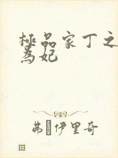 极品家丁之册母为妃