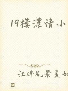 19楼浓情小说