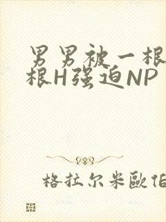 男男被一根又一根H强迫NP