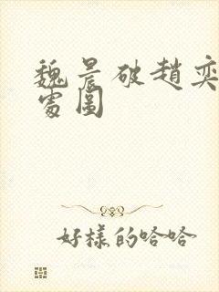 魏晨破赵奕欢的处图