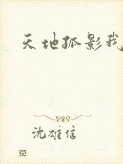 天地孤影我独行