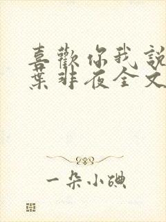 喜欢你我说了算叶非夜全文免费阅读