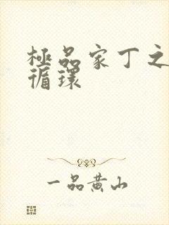 极品家丁之因果循环