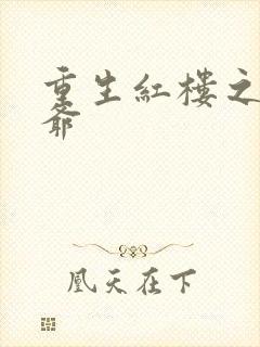 重生红楼之环三爷