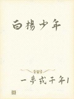 白杨少年