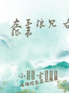 左手狼兄 右手狐弟