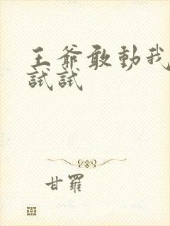王爷敢动我妈咪试试