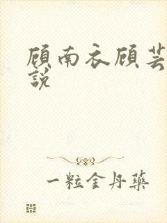 顾南衣顾芸沐小说