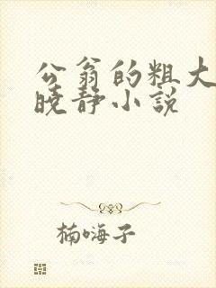 公翁的粗大放进晓静小说