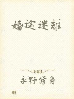 婚途迷离