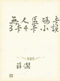 无人区码卡二卡3卡4卡小说