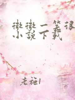 微微一笑很倾城小说下载