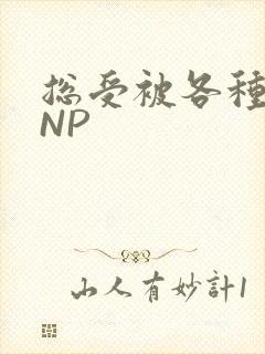 总受被各种姿势NP