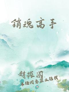 销魂高手