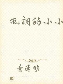 低调的小小宫女