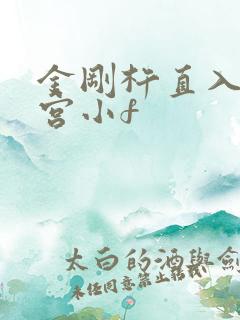 金刚杵直入莲花宫小f