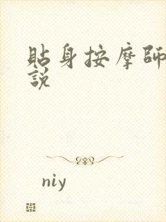 贴身按摩师 小说