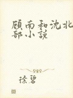 顾南和沈北是哪部小说