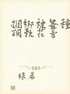 捆绑被各种工具调教花蒂