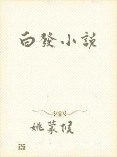 白发小说