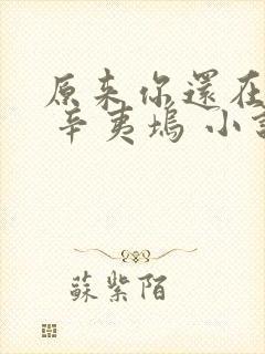 原来你还在这里 辛夷坞 小说