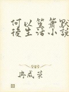 何以笙箫默之婚后生活小说