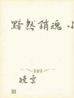 黯然销魂 小说