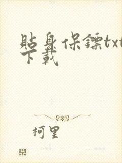 贴身保镖txt下载