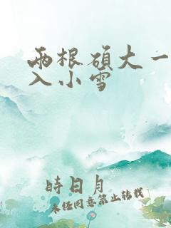 两根硕大一起挤入小雪