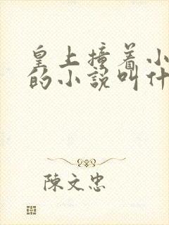 皇上撞着小公主的小说叫什么