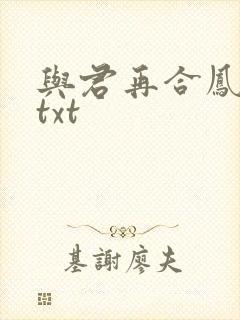 与君再合凤求凰txt